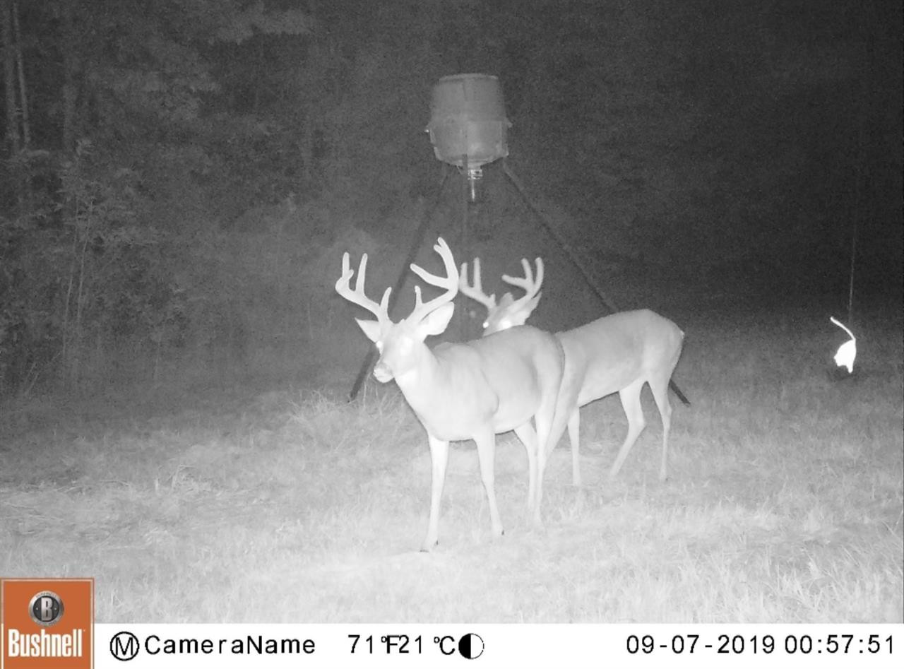 3018 International Road Hermanville, MS 39086 - Photo 2 of 27 Photo 2