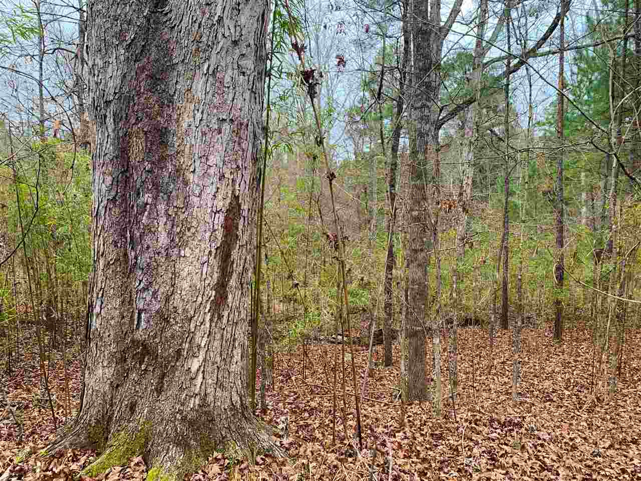 3018 International Road Hermanville, MS 39086 - Photo 3 of 27 Photo 3