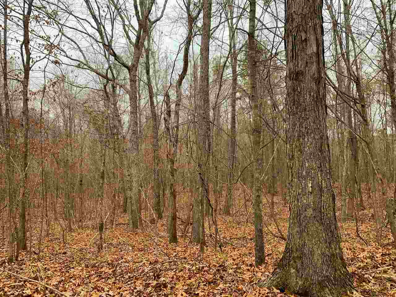 3018 International Road Hermanville, MS 39086 - Photo 4 of 27 Photo 4