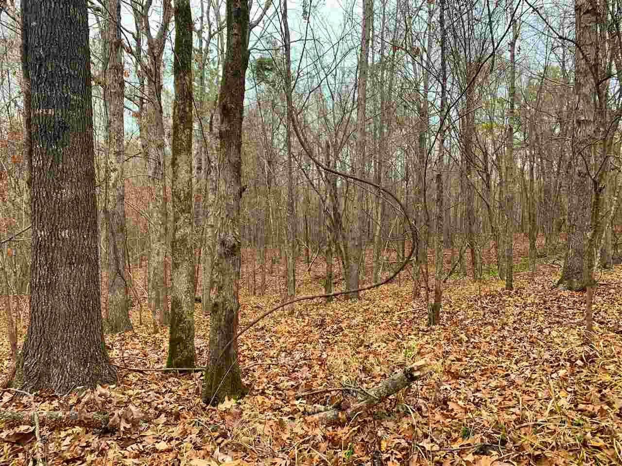 3018 International Road Hermanville, MS 39086 - Photo 8 of 27 Photo 8