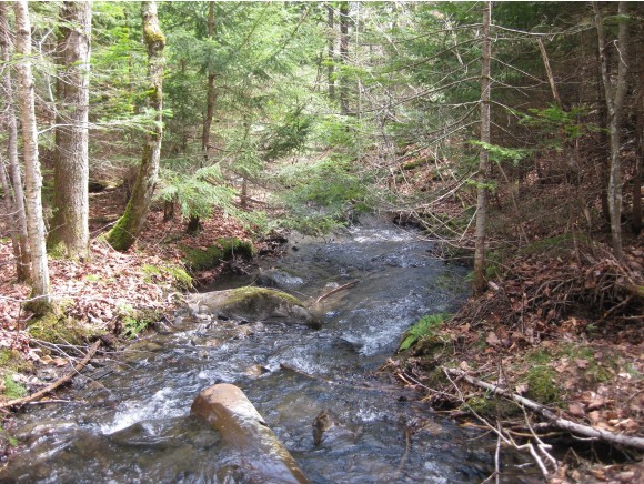 0 Coles Pond Road Danville, VT 05828 - Photo 1 of 1 Gallery Image 1