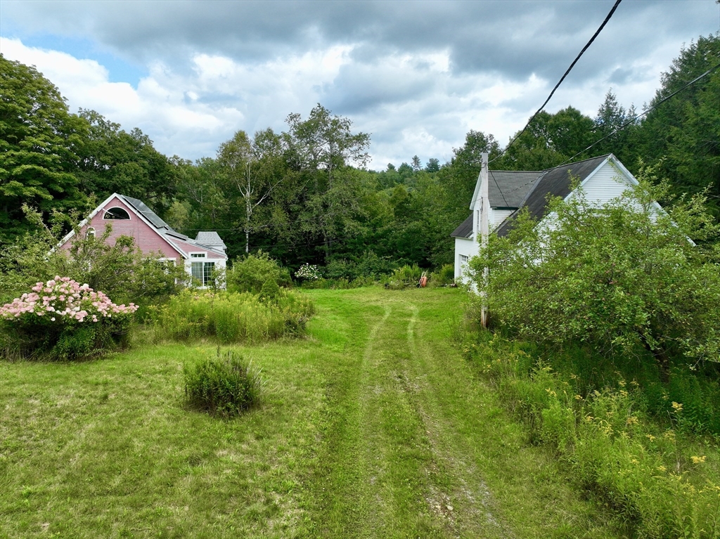 302 Number 9 Road Heath, MA 01367 - Photo 8 of 31 a view of a garden with plants and large trees