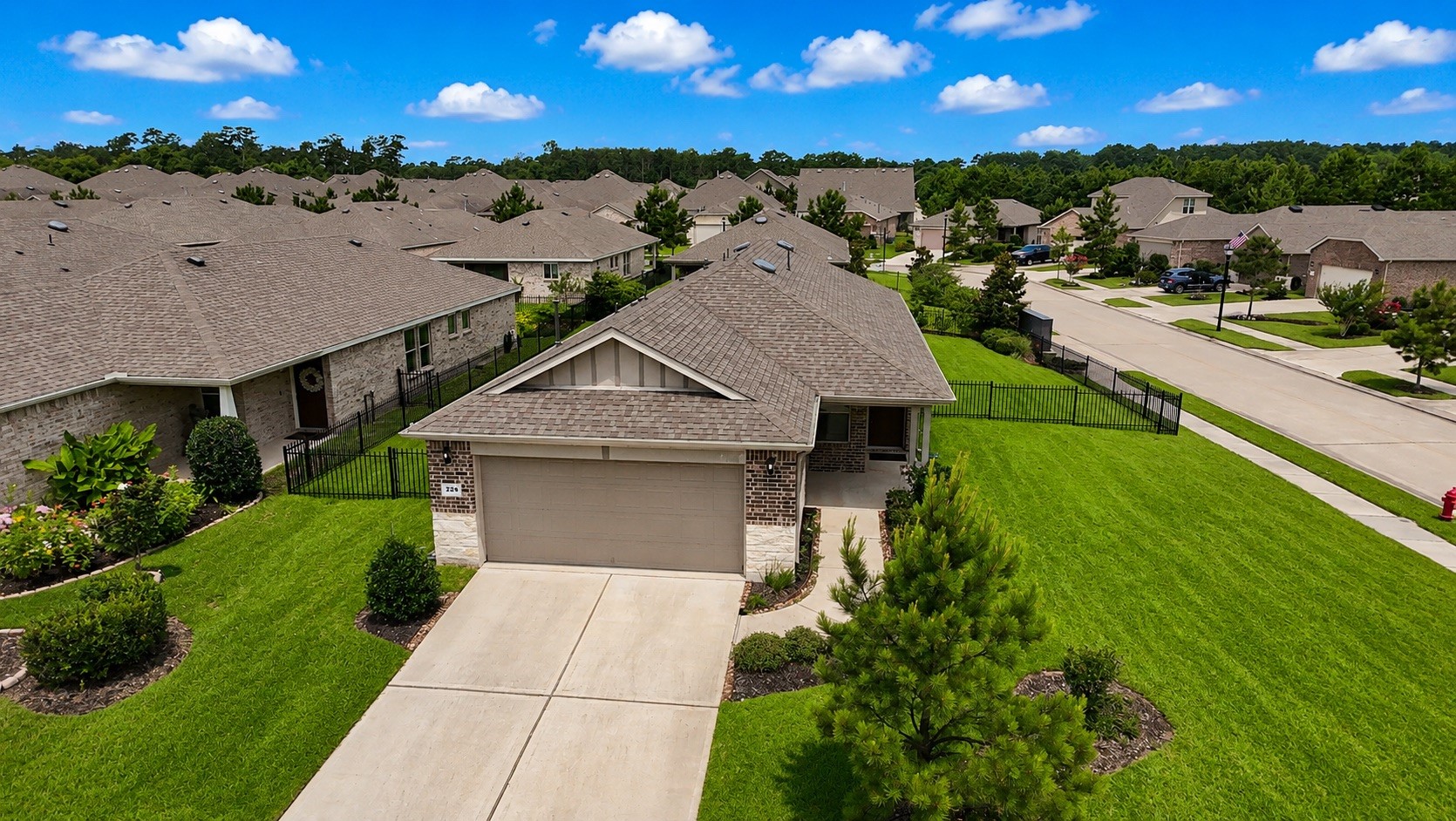 226 Flaxen Chestnut Spring Spring, TX 77382 - Photo 2 of 38