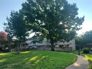 a view of a trees in a park