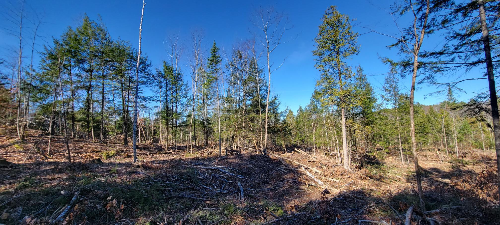 25-22 Back Troy Road Troy, ME 04987 - Photo 12 of 43 Lot 3