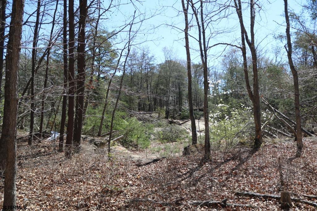 351 Shaws Mill Road Newport, NJ 08345 - Photo 15 of 84