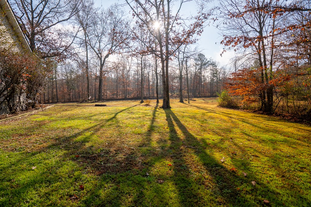 5435 Frederick Road Cohutta, GA 30710 - Photo 47 of 58 Gallery Image 47