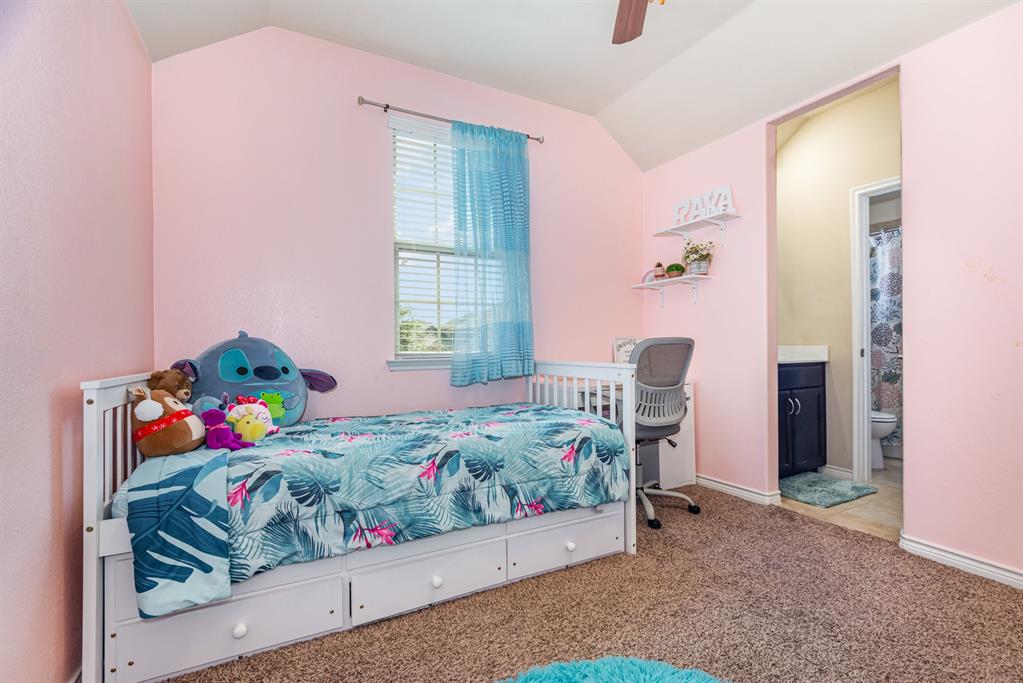 9904 Timberwolf McKinney, TX 75071 - Photo 21 of 34