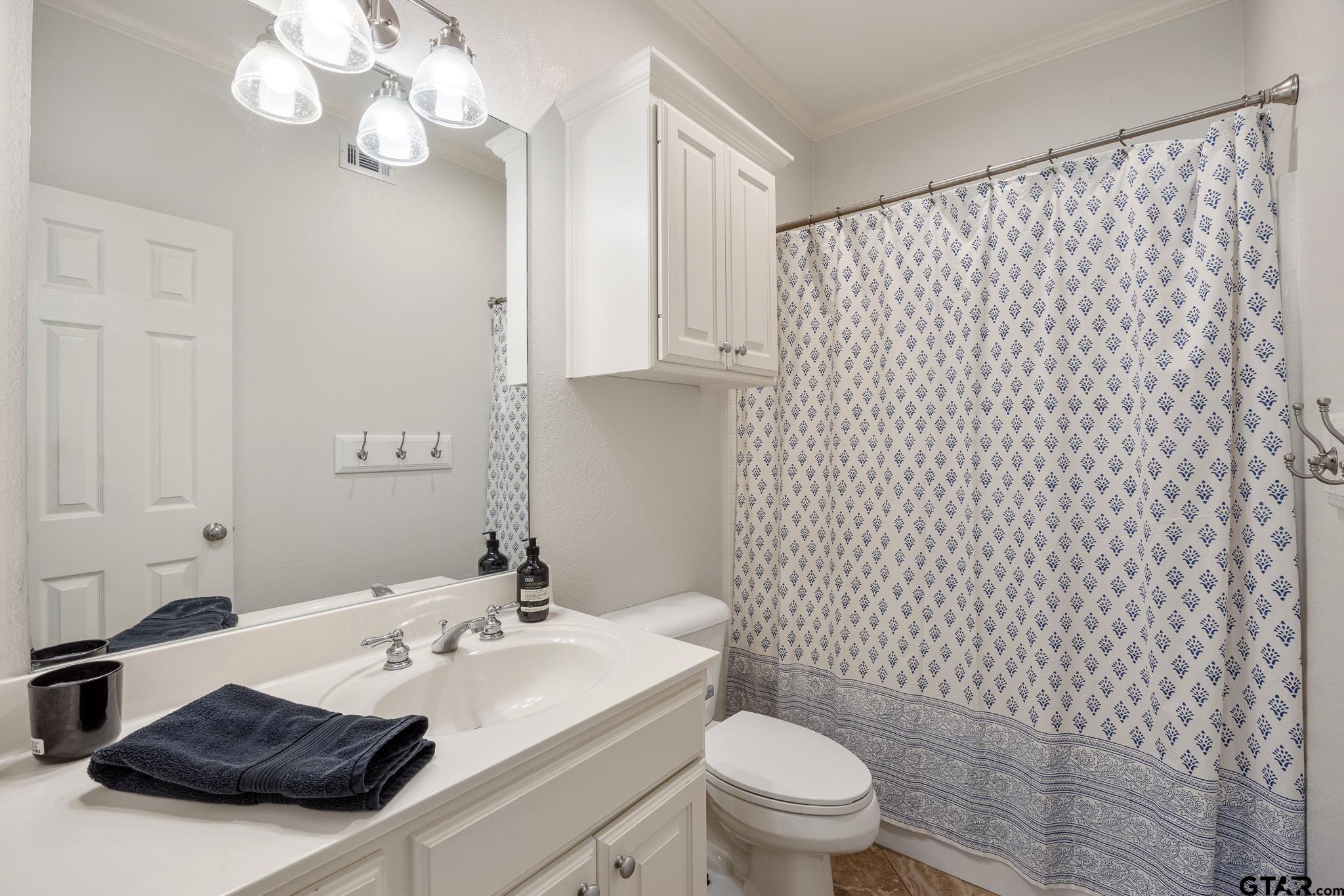 18076 Deer Trail Flint, TX 75762 - Photo 13 of 46 a bathroom with a sink a toilet and a mirror