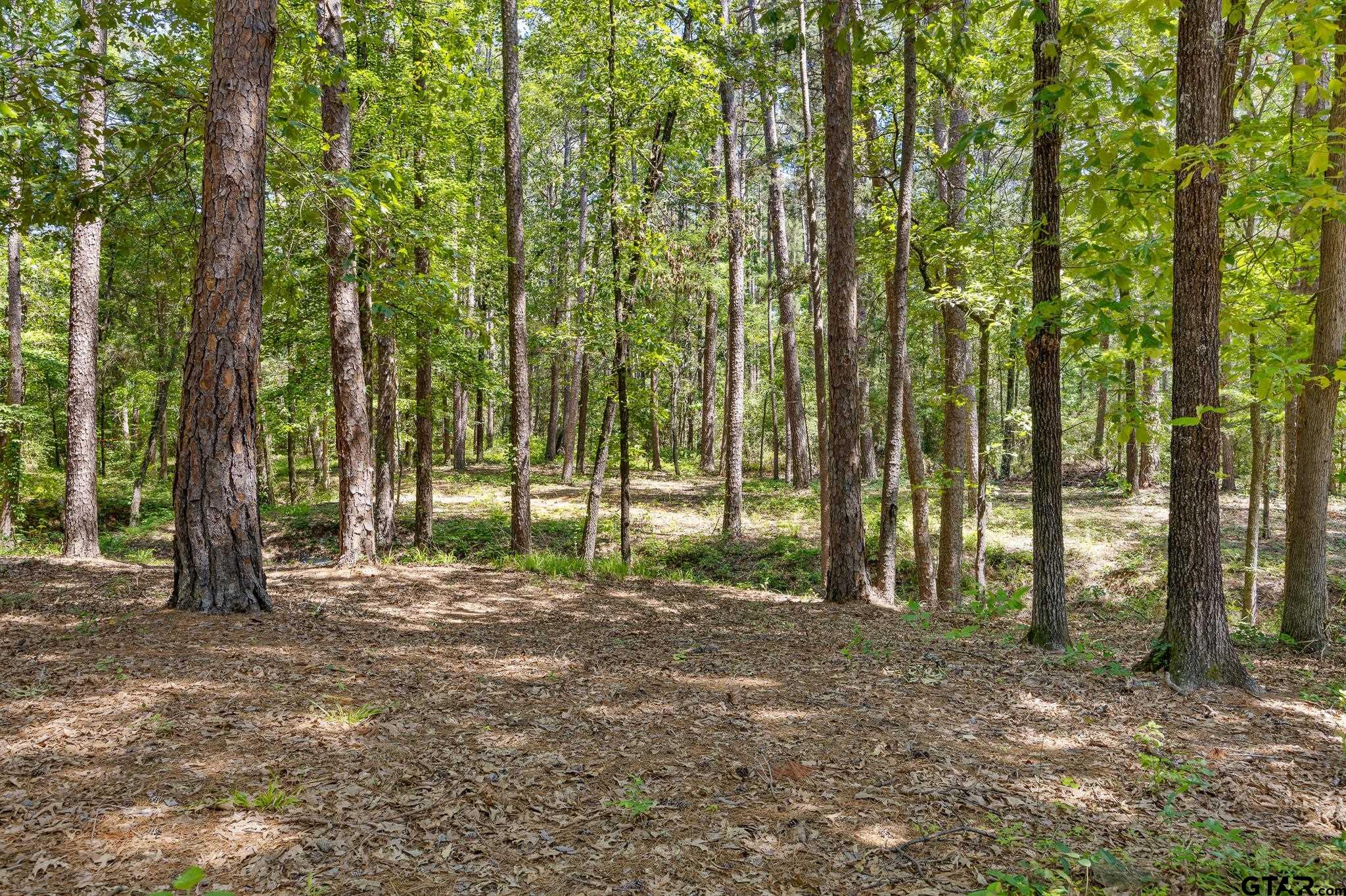 18076 Deer Trail Flint, TX 75762 - Photo 43 of 46 a backyard of a house with lots of green space