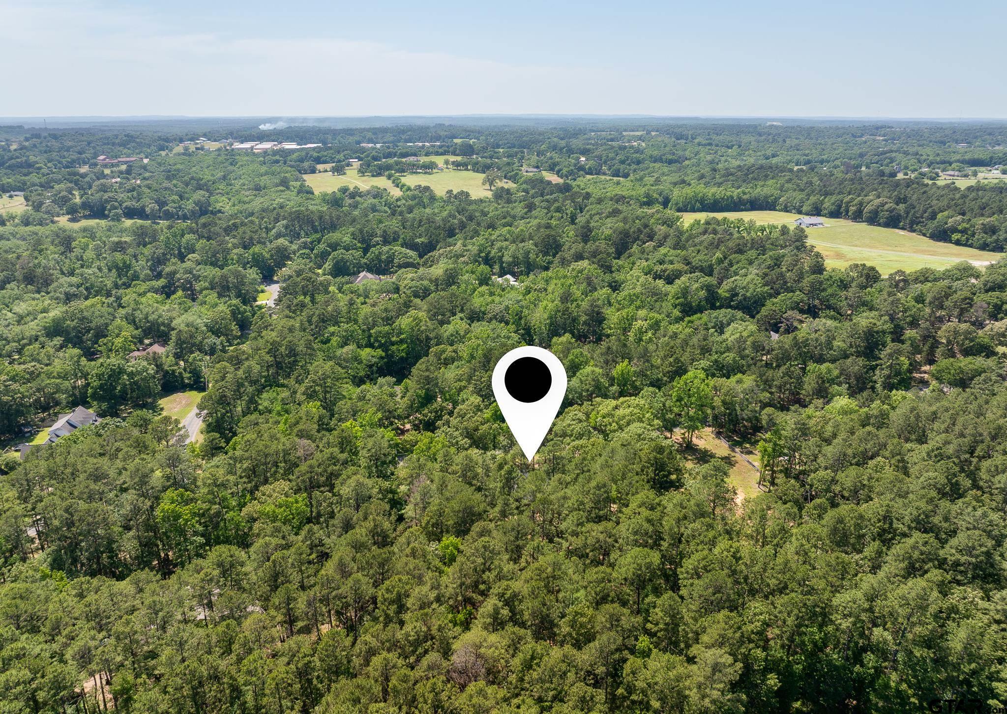 18076 Deer Trail Flint, TX 75762 - Photo 46 of 46 an aerial view of a house with a yard