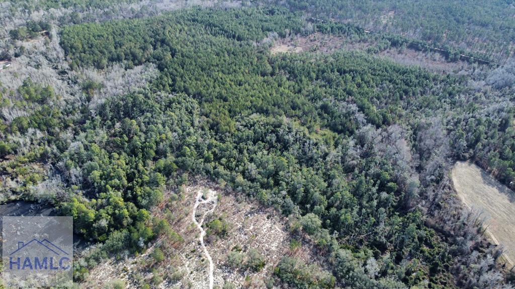 7 Henry Moxley Road Cobbtown, GA 30420 - Photo 5 of 11 Gallery Image 5