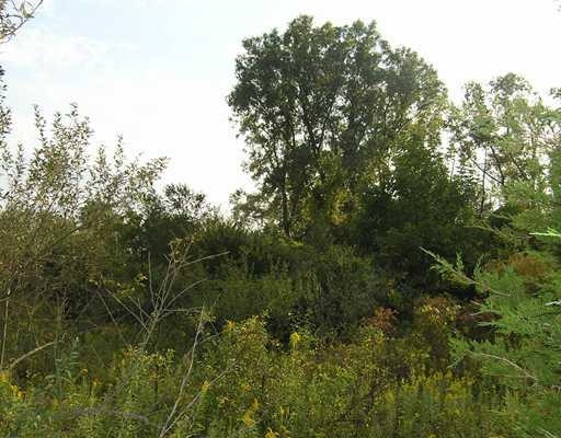 3200 North Lima Center Road Dexter, MI 48130 - Photo 1 of 4 Photo 1