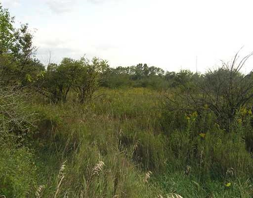 3200 North Lima Center Road Dexter, MI 48130 - Photo 4 of 4 Photo 4