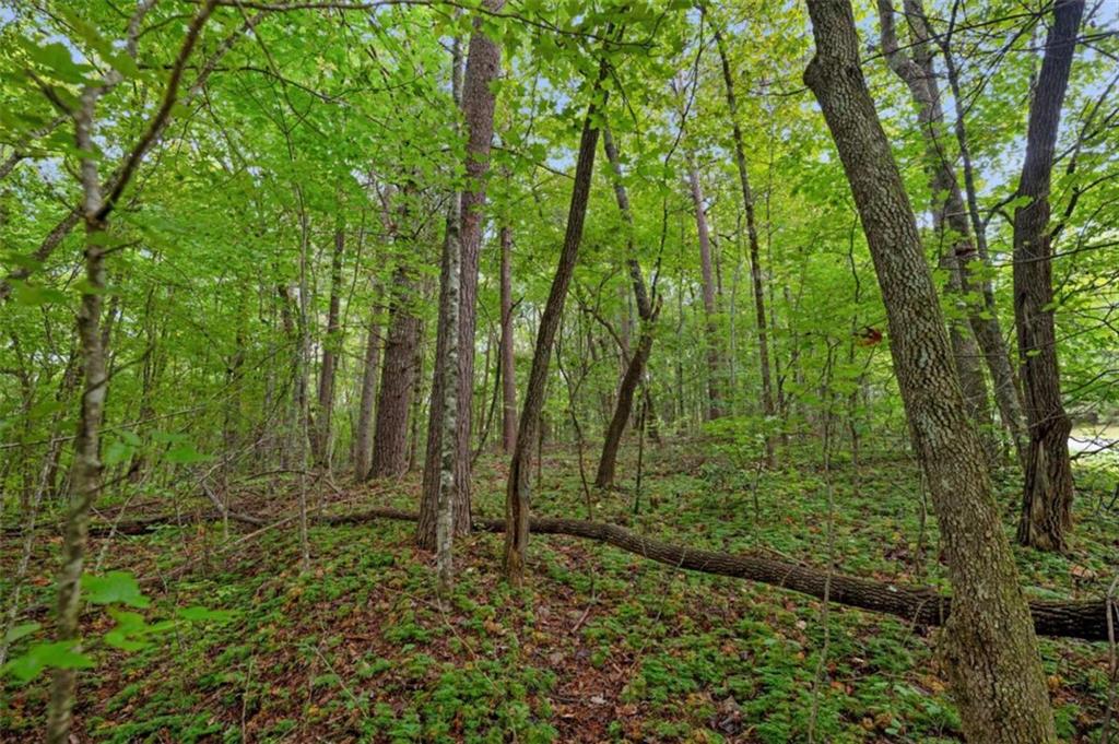 Lot 23 Possum Poke Road Ellijay, GA 30536 - Photo 11 of 18 Gallery Image 11