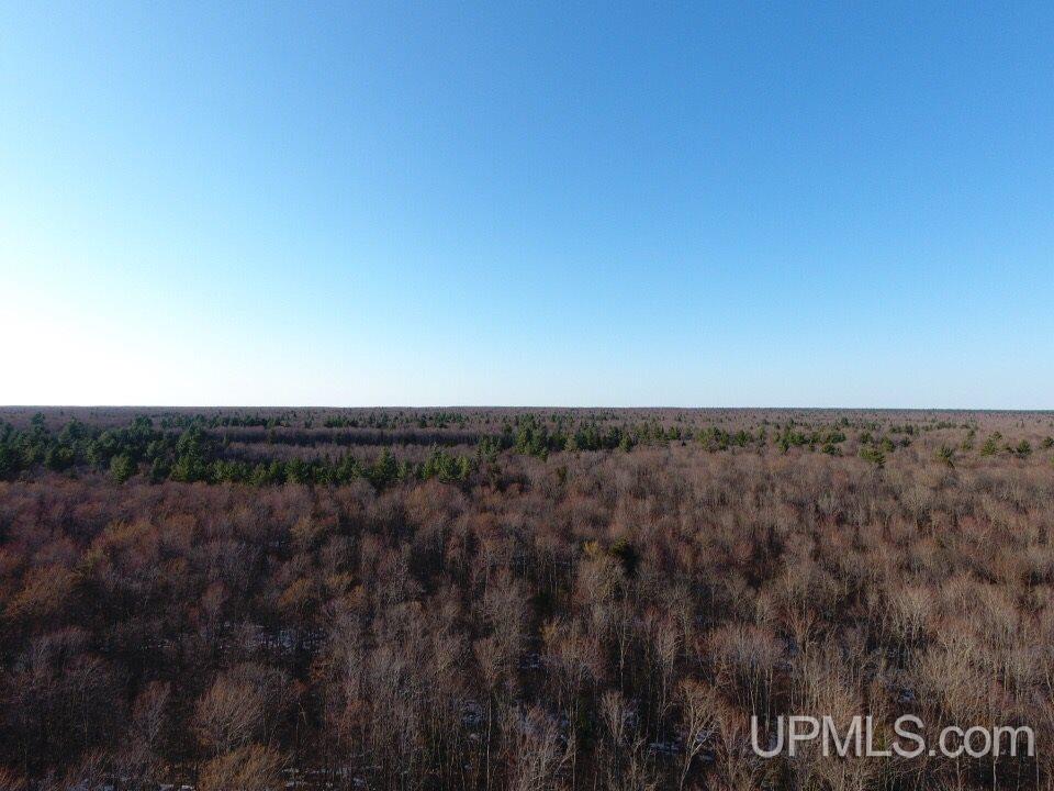 9936 N South Ross Lake Road Shingleton, MI 49884 - Photo 10 of 50