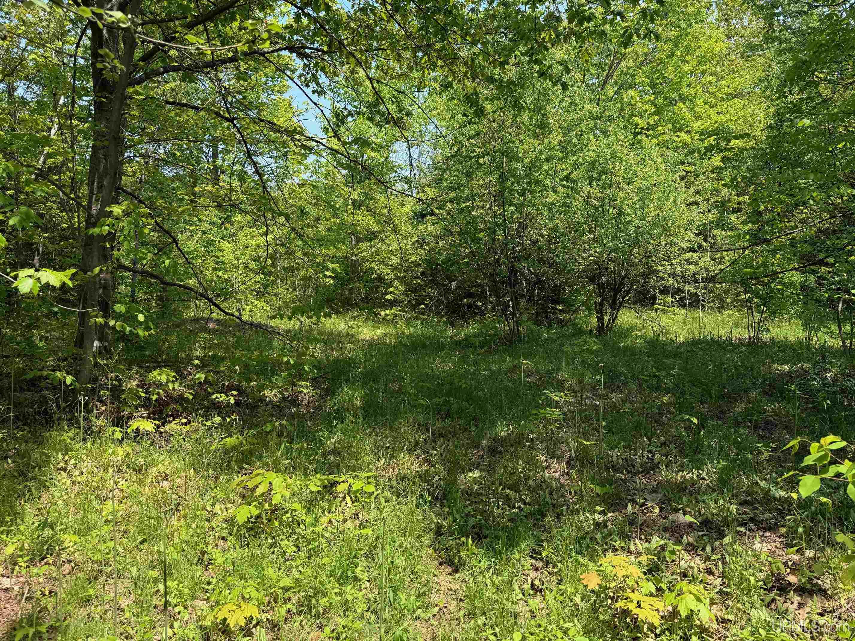 Tbdc Old Rink Road Toivola, MI 49965 - Photo 11 of 18 Gallery Image 11