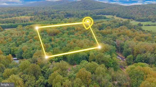 a view of a swimming pool with a yard