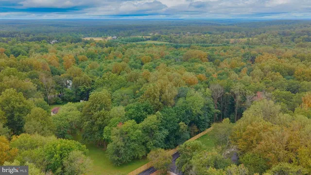 a view of a field with an ocean and trees
