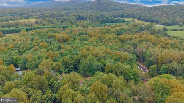 an aerial view of residential houses with outdoor space and trees