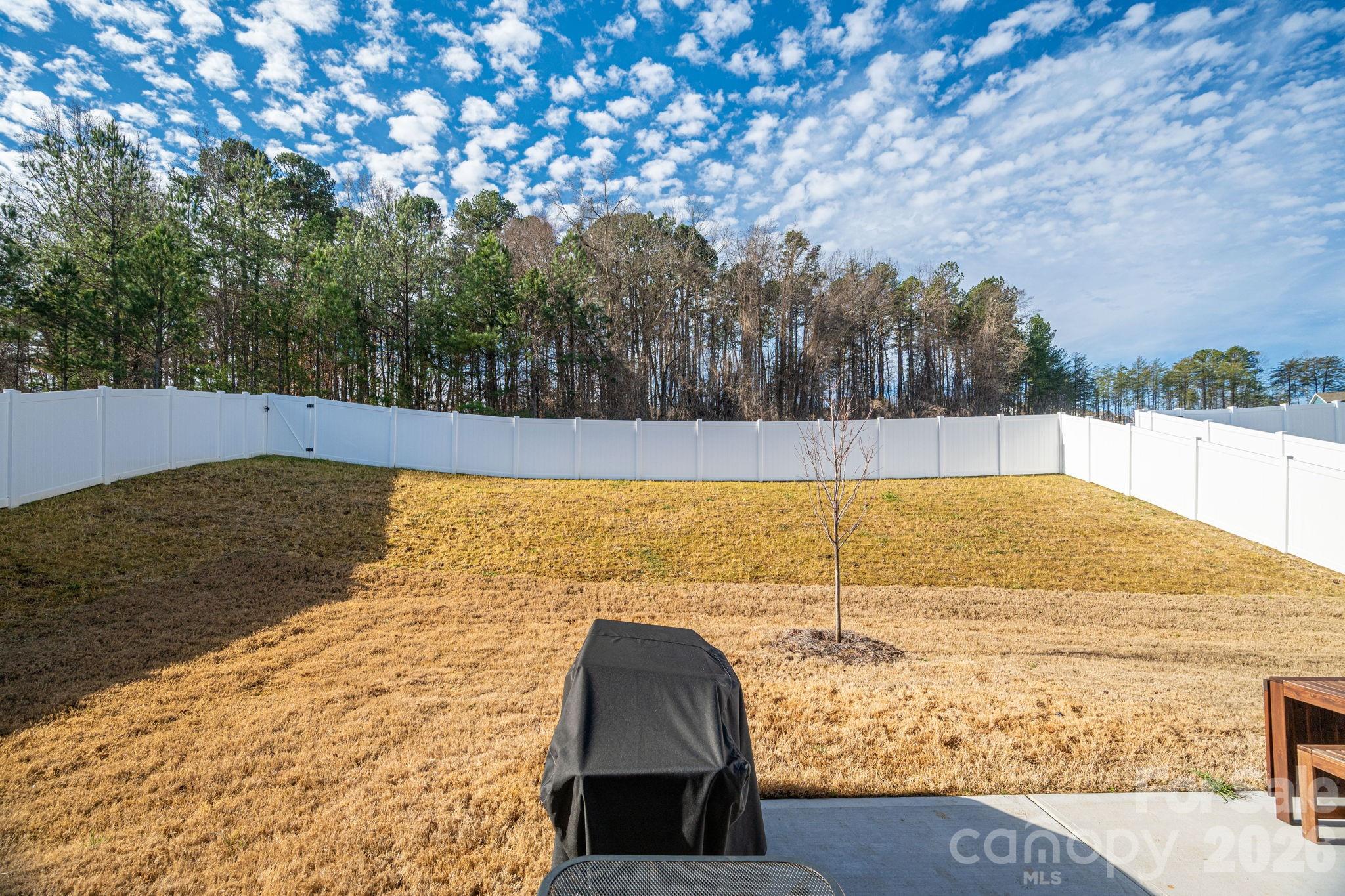 5207 Piedmont Run Road Mount Holly, NC 28120 - Photo 33 of 43