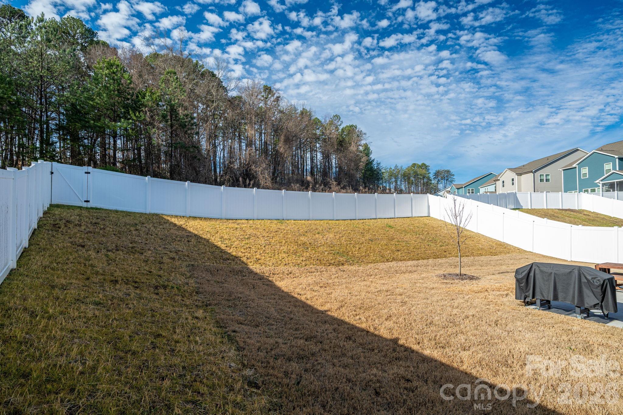 5207 Piedmont Run Road Mount Holly, NC 28120 - Photo 35 of 43