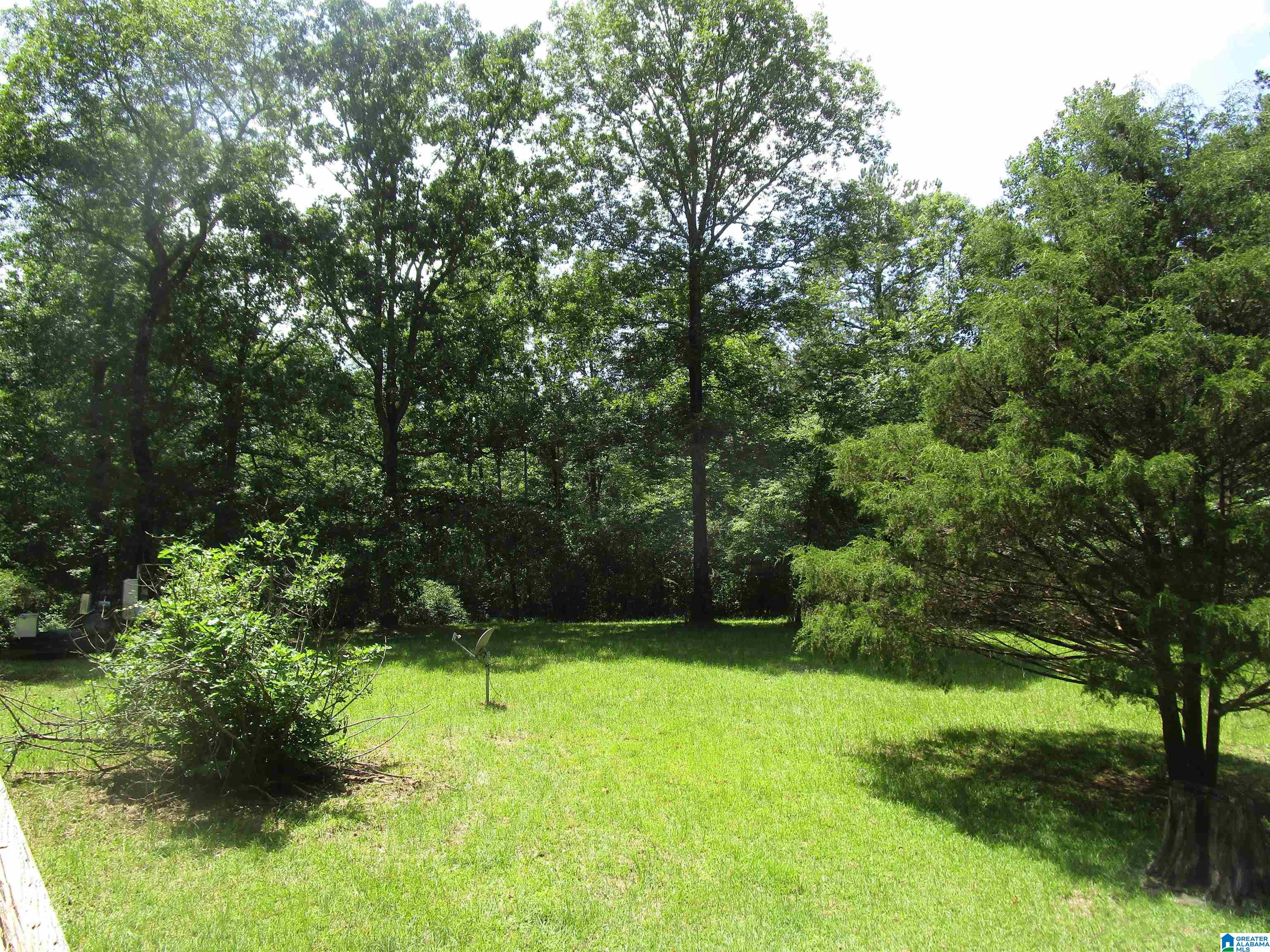 191 Shady Hill Road Warrior, AL 35180 - Photo 24 of 34