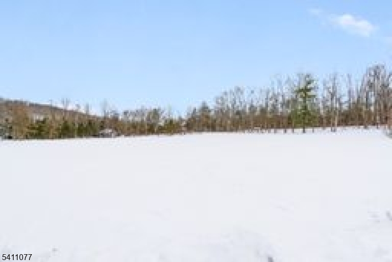 331 Mt Hermon Road Blairstown, NJ 07825 - Photo 23 of 25