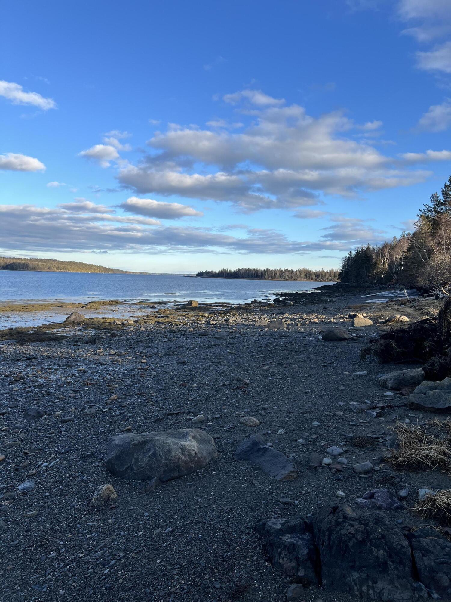 Lot # Leighton Point Road Pembroke, ME 04666 - Photo 12 of 20 IMG_0624