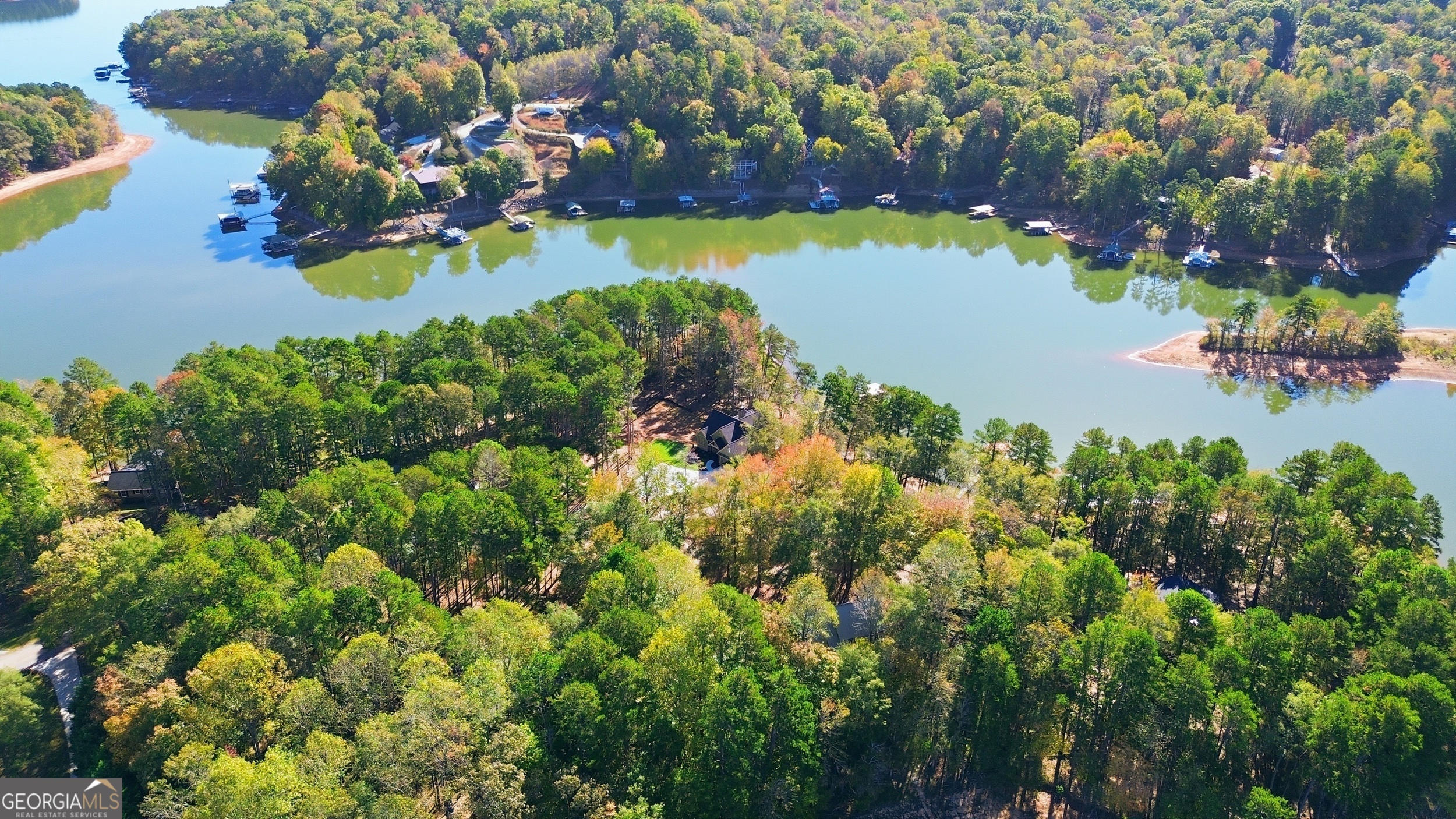 259 West Currahee Street Toccoa, GA 30577 - Photo 45 of 47 an aerial view of a residential houses with outdoor space and trees all around