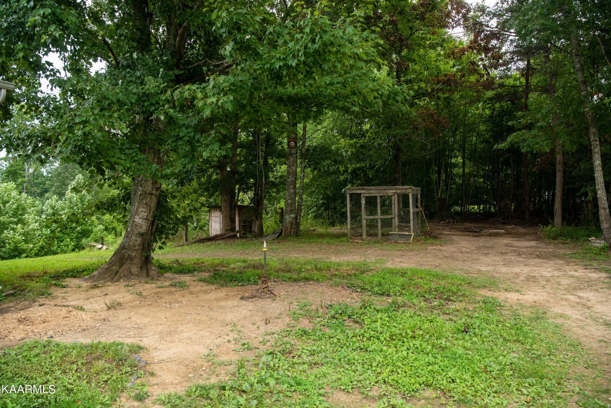975 Letner Road Helenwood, TN 37755 - Photo 29 of 30 Gallery Image 29
