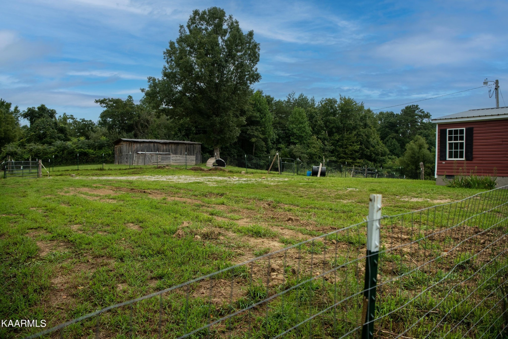 975 Letner Road Helenwood, TN 37755 - Photo 9 of 30 Gallery Image 9