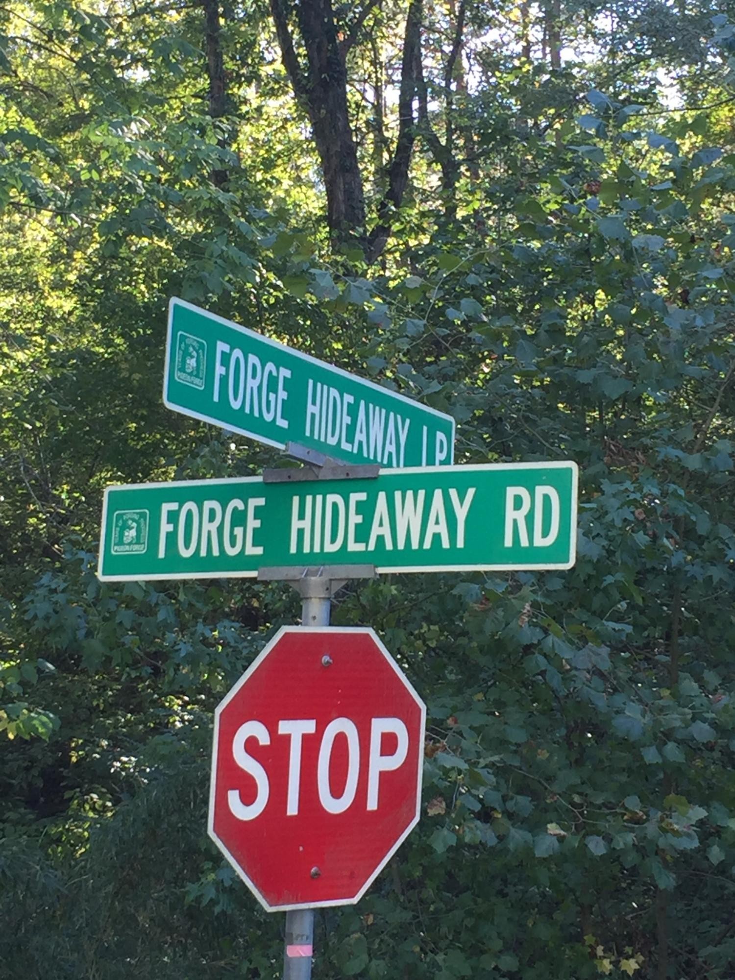 0 Forge Hideaway Road Pigeon Forge, TN 37863 - Photo 5 of 5