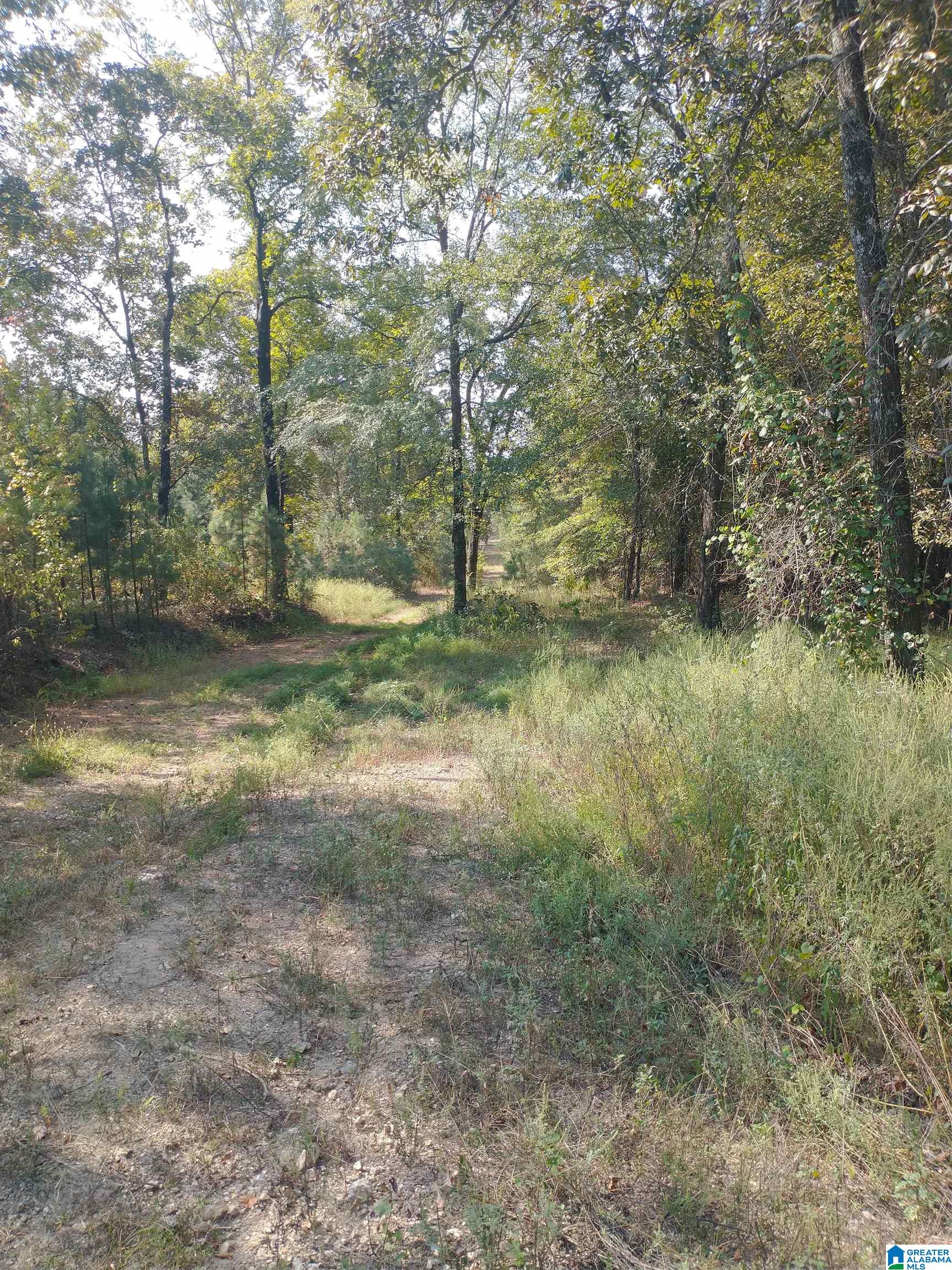 8100 Mckesie Street, Unit 81 ACRES Riverside, AL 35135 - Photo 5 of 18