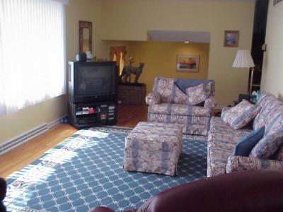 873 Passer Road Coopersburg, PA 18036 - Photo 7 of 8 Living room with exposed wood floors looking into sunken foyer.
