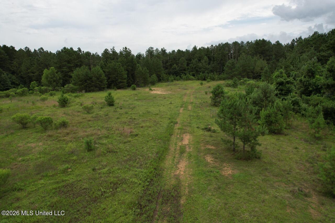 2684 Ms 33 Crosby, MS 39633 - Photo 9 of 18 DJI_0240 Large