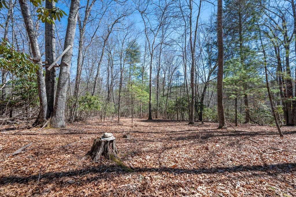 Lot 12 Ridge Line Trail, Unit 12 Independence, VA 24348 - Photo 26 of 66 Gallery Image 26