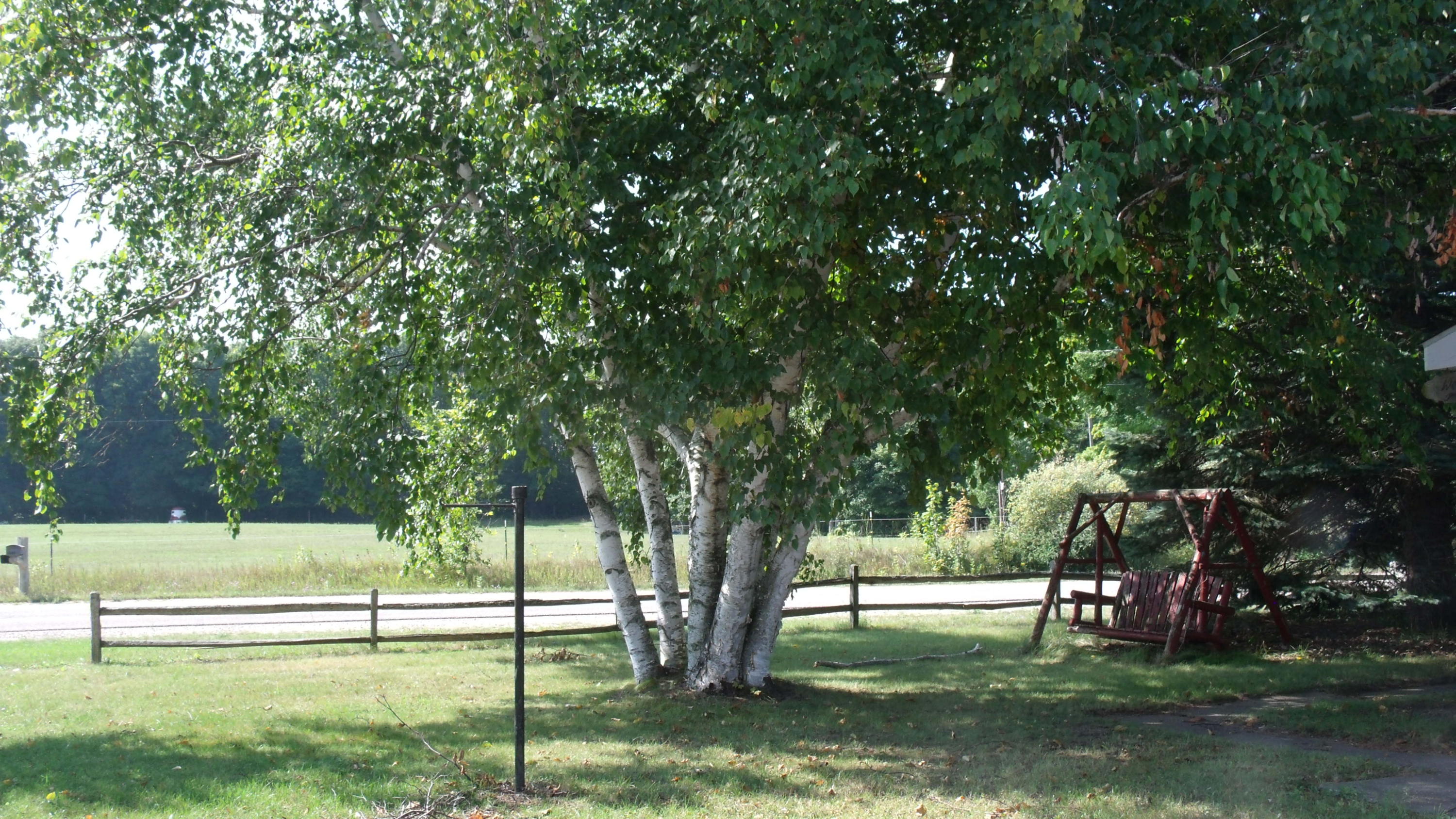 5492 Polish Line Road Cheboygan, MI 49721 - Photo 8 of 28 Gallery Image 8