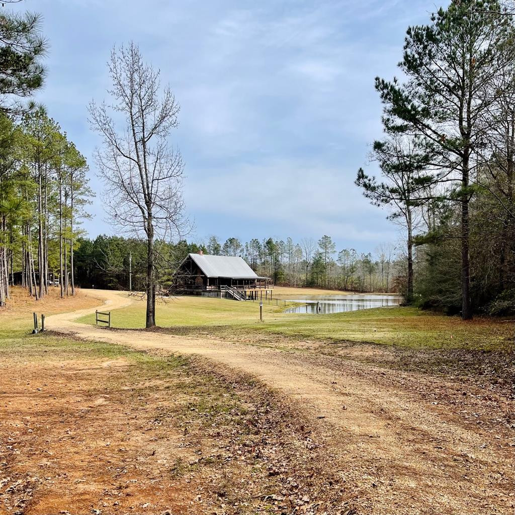 220 Hope Little Road Pinola, MS 39149 - Photo 1 of 11 Main View