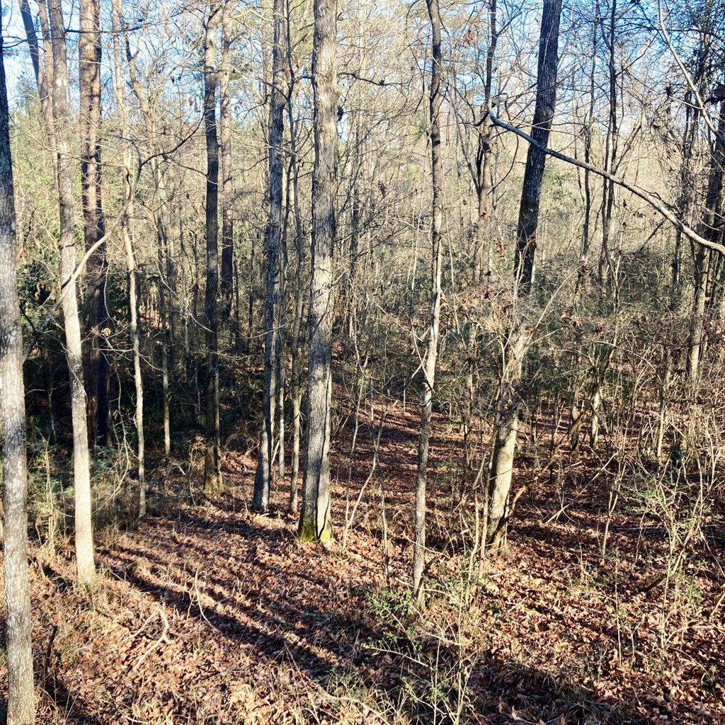 220 Hope Little Road Pinola, MS 39149 - Photo 2 of 11 Photo 2