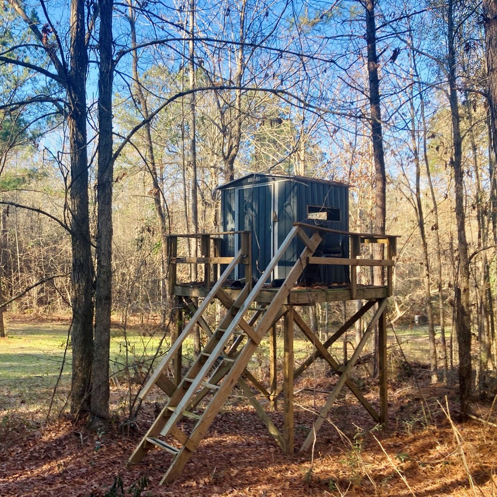 220 Hope Little Road Pinola, MS 39149 - Photo 3 of 11 Photo 3