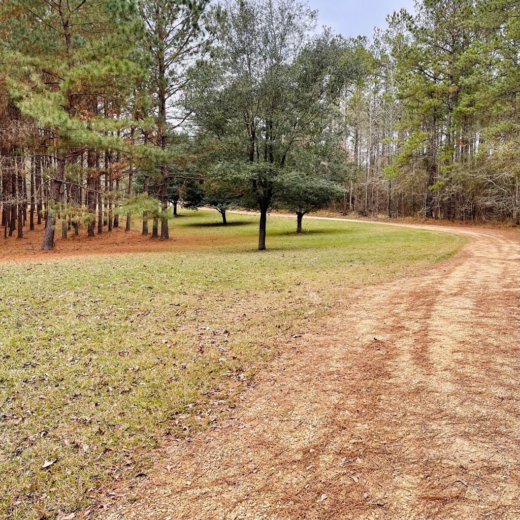 220 Hope Little Road Pinola, MS 39149 - Photo 7 of 11 Photo 7