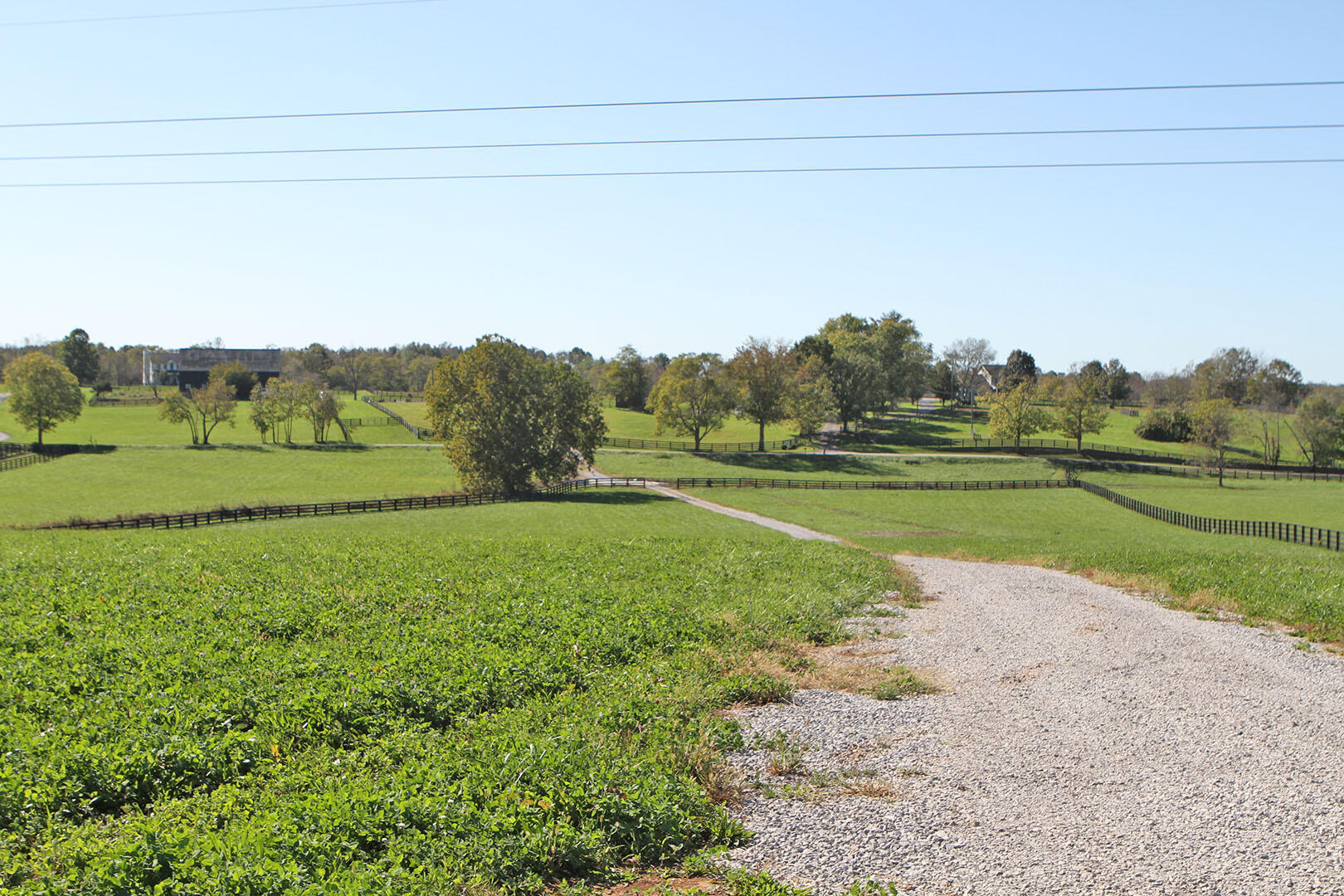 3575 Houston Antioch Road Paris, KY 40361 - Photo 53 of 55 52