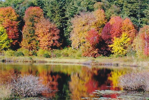 44 Turnpike Road Townsend, MA 01469 - Photo 13 of 13