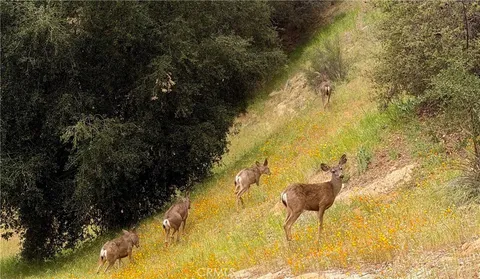 $1,500,000 | 3418 Dorothy Road, Topanga, CA 90290