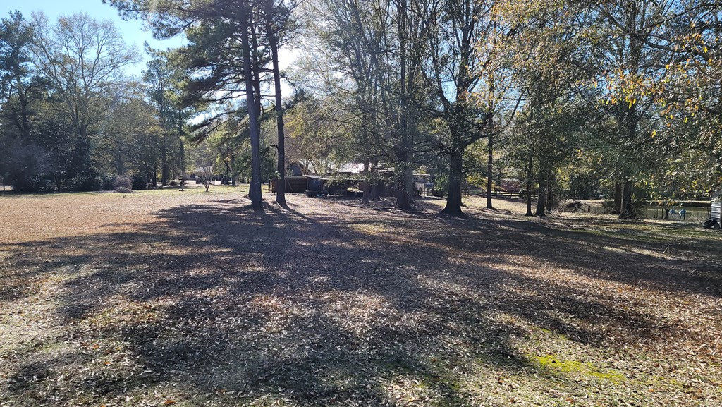 4193 Muddy Springs Road McComb, MS 39648 - Photo 13 of 29 Photo 13