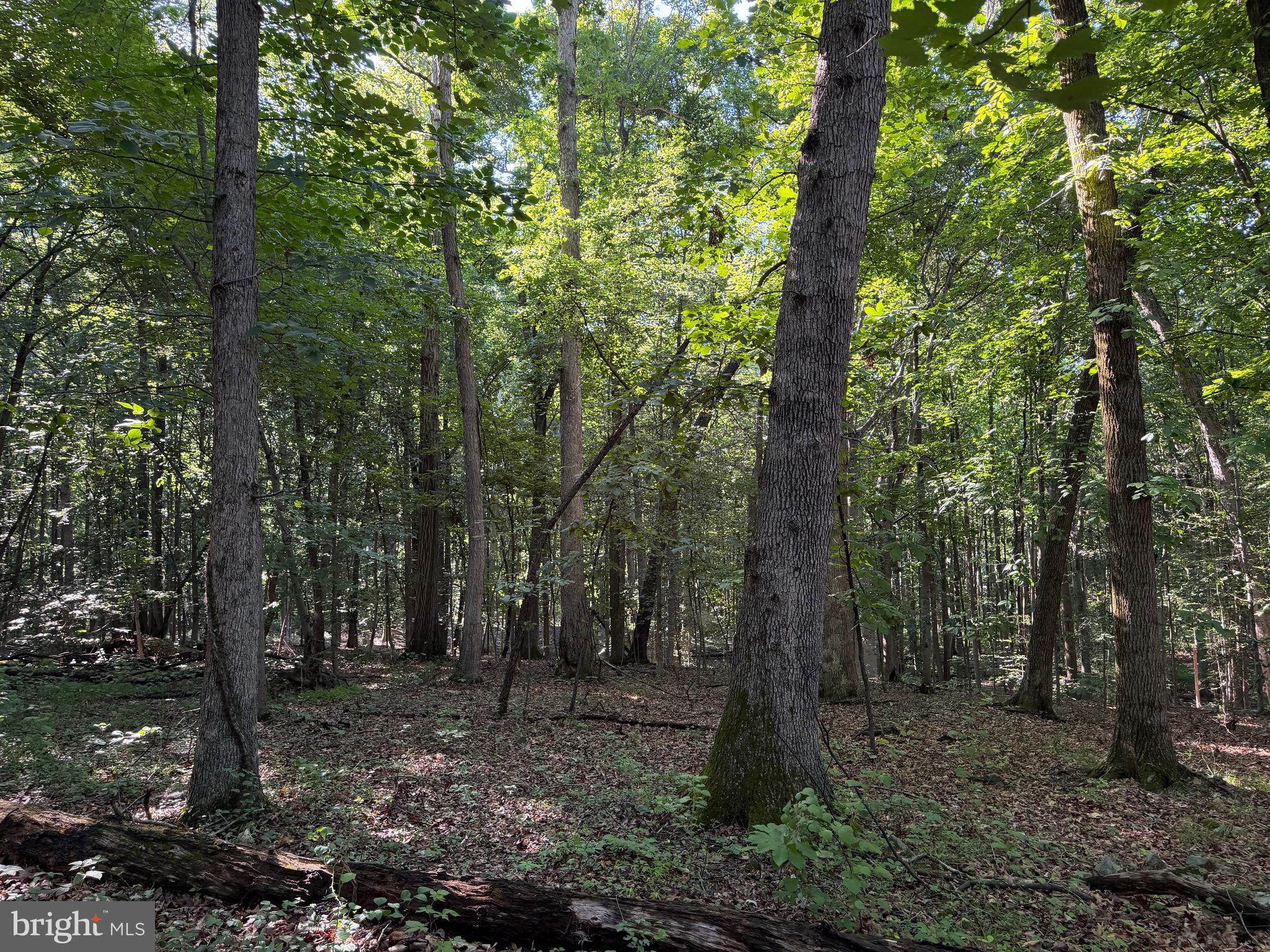 0 Rock Springs Road Conowingo, MD 21918 - Photo 67 of 79