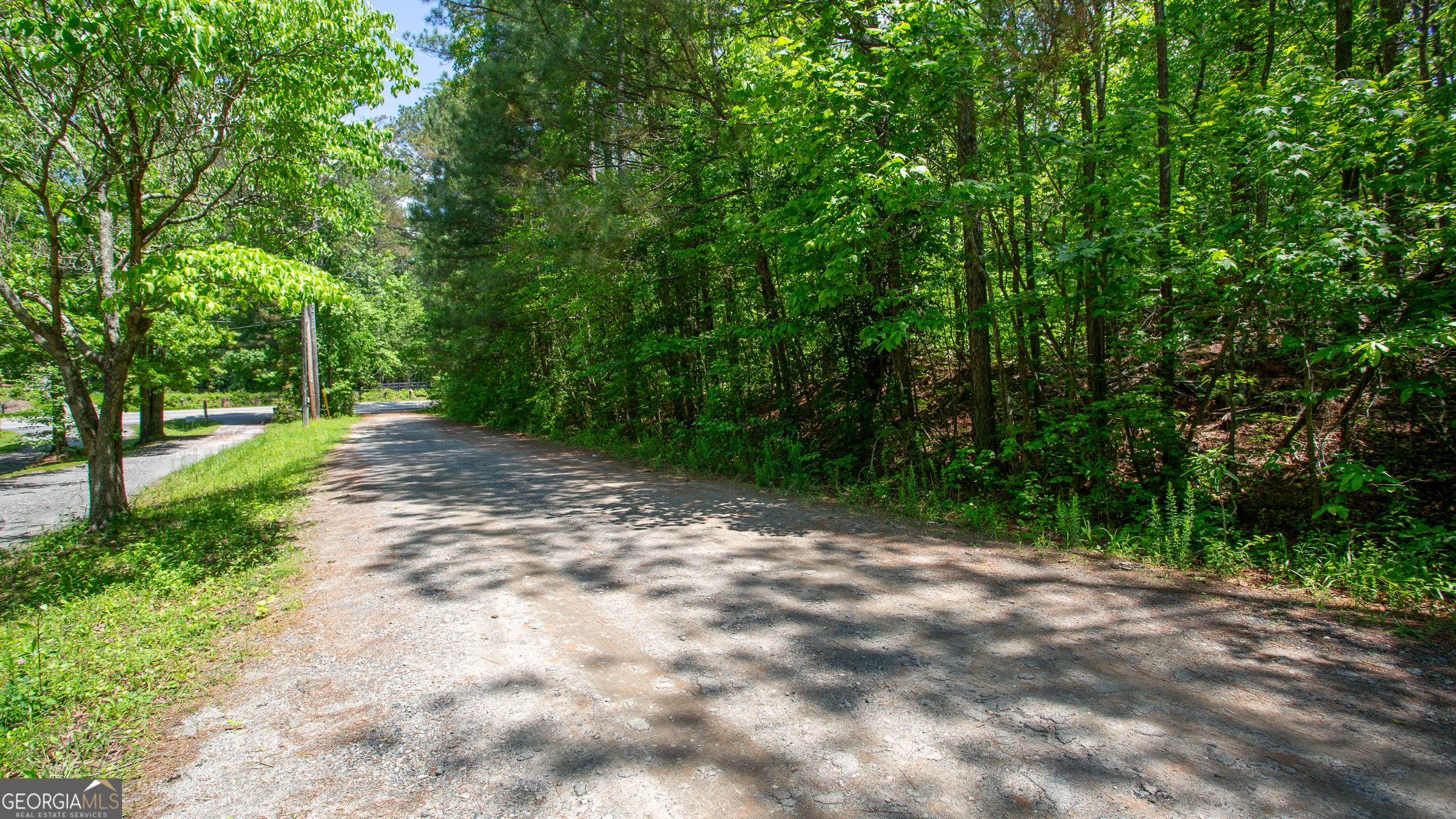 7245 Mt Tabor Road Cumming, GA 30028 - Photo 1 of 1 a view of a road with trees in the background