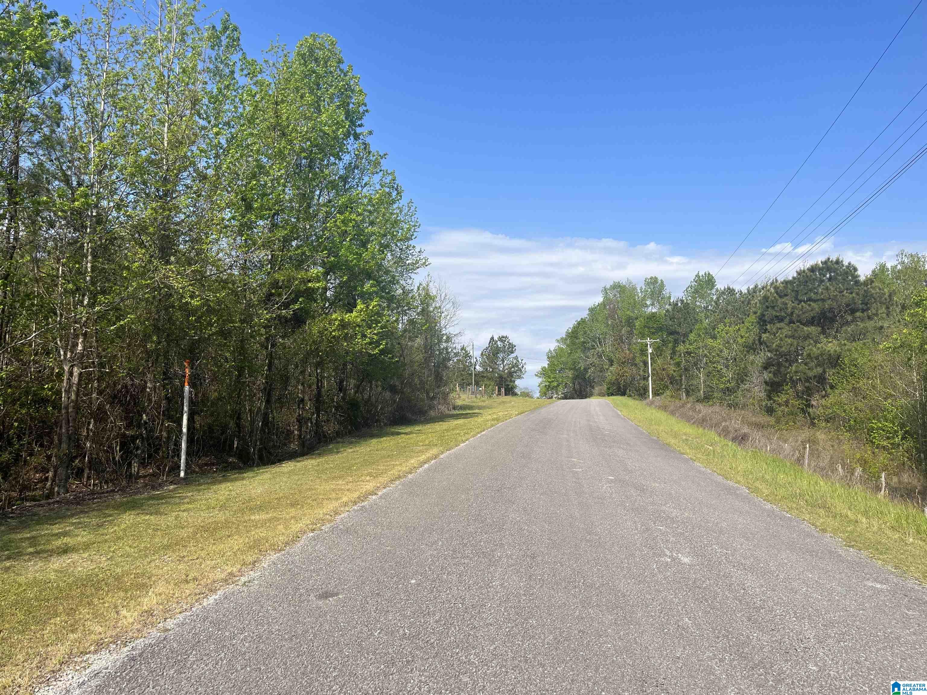 0 County Road 53, Unit 1 Clanton, AL 35045 - Photo 2 of 3