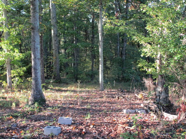6653 Ridgeview Road Knoxville, TN 37918 - Photo 4 of 19 IMG_0431